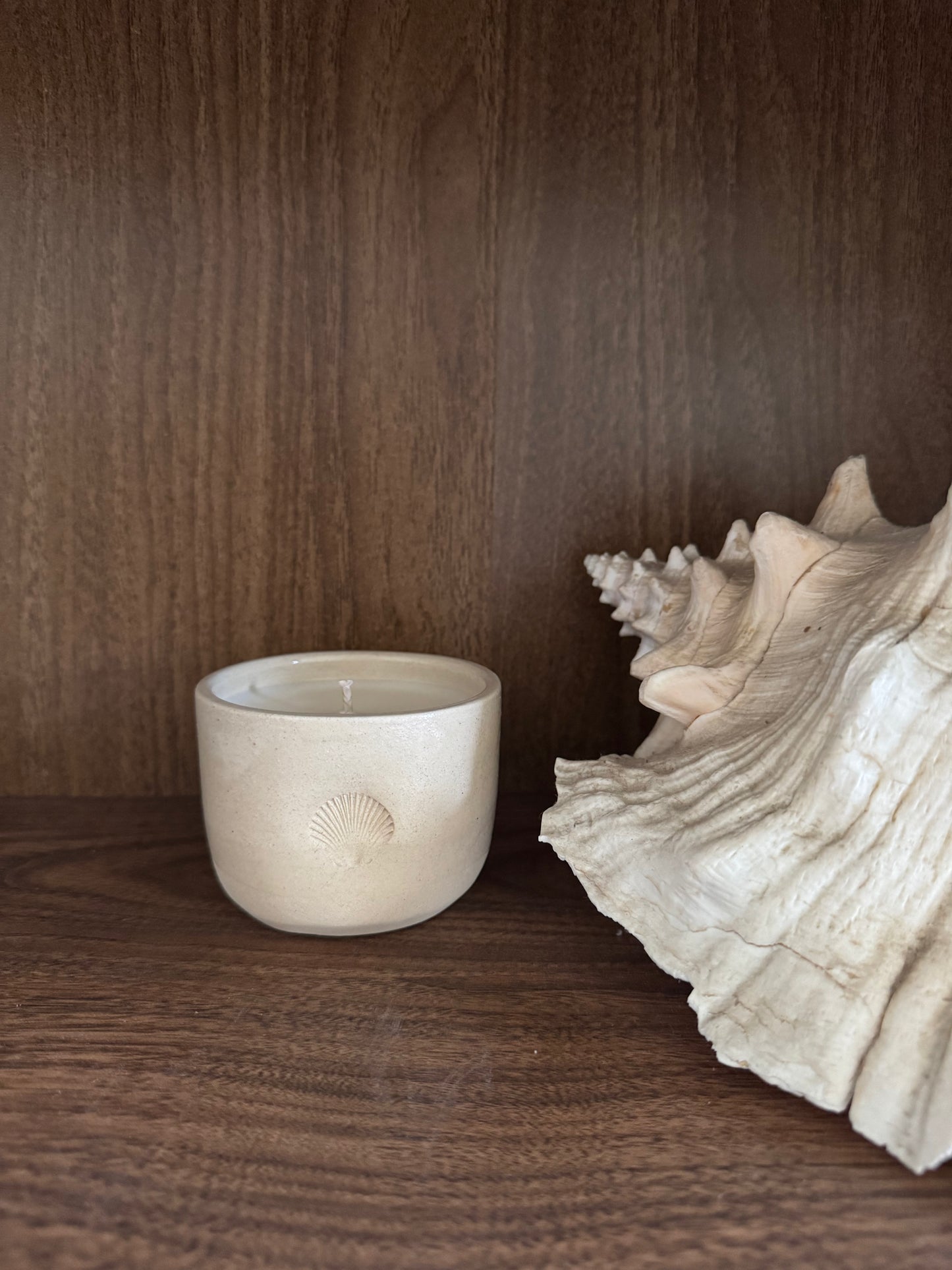 AMOR DE PALMERA SEASHELL COFFEE CUP CANDLE